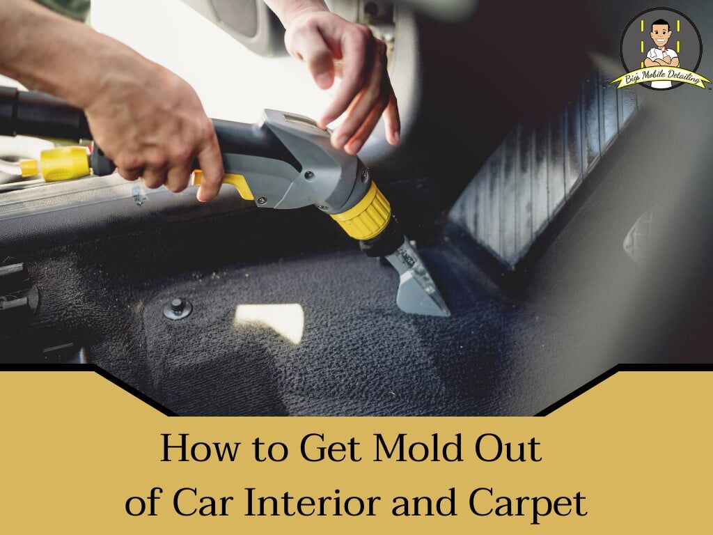 How To Get Mold Out Of Car Seat Fabric